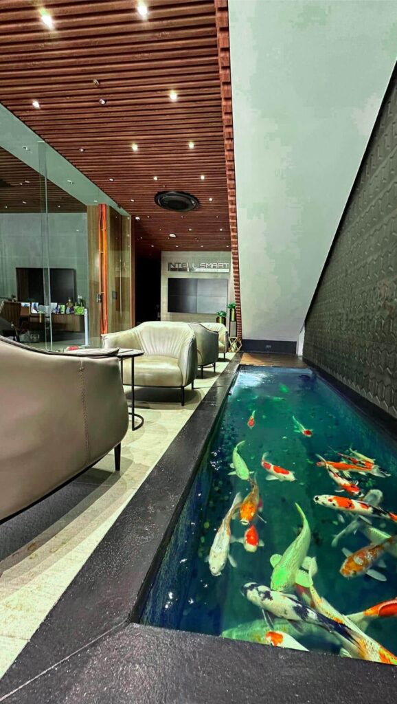 ITI Fish Pond
